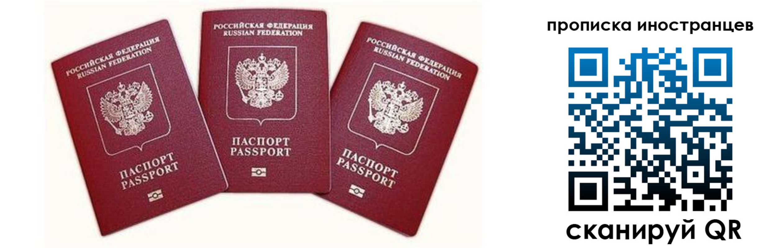 прописка в Тайшете